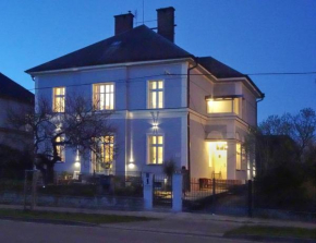 VILA OPOČNO, Opočno